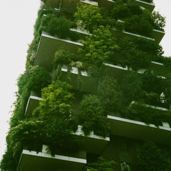 White Building Exterior Surrounded Trees And Gardens Duurzaambouwen - innovatie in de ruwbouw
